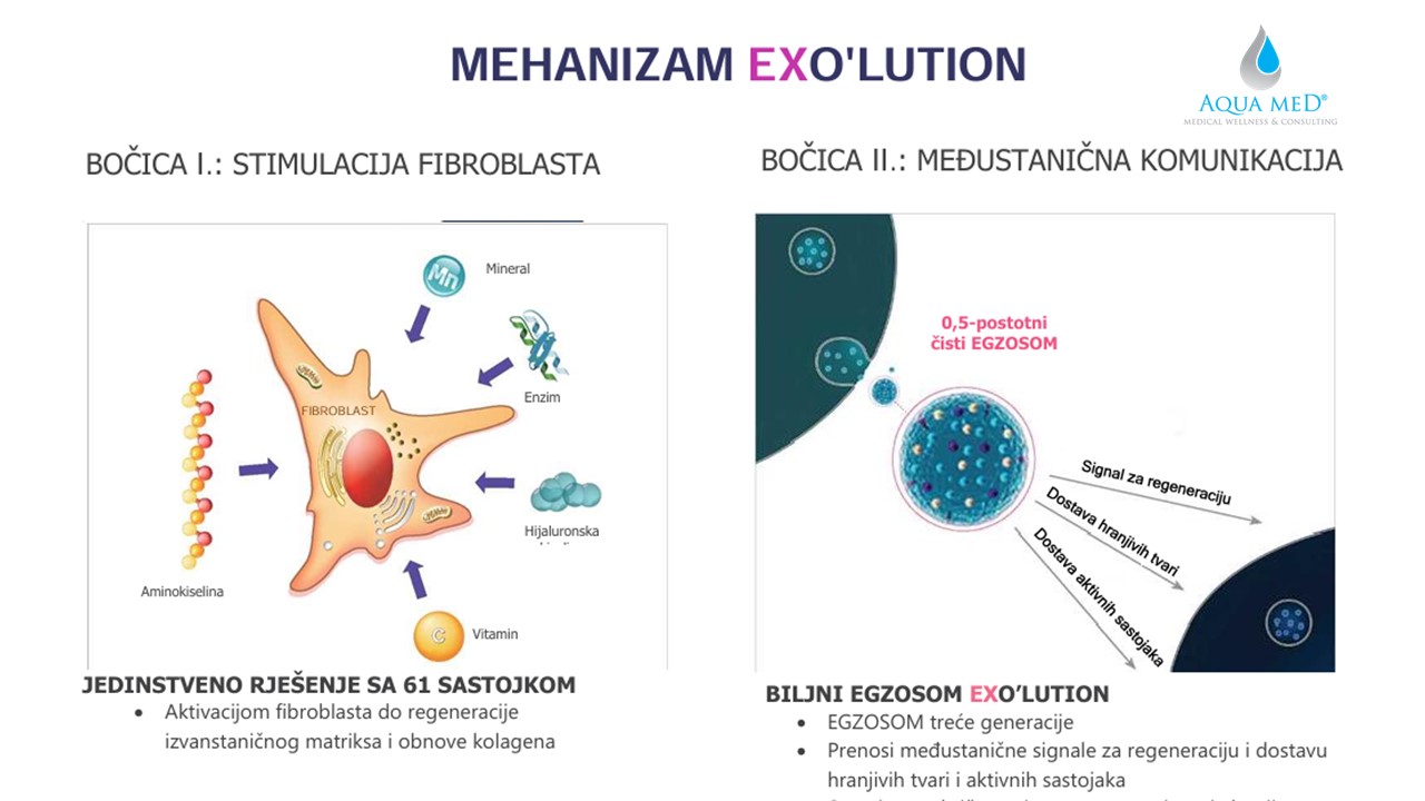 Exosomi ExoLution Aqua Med